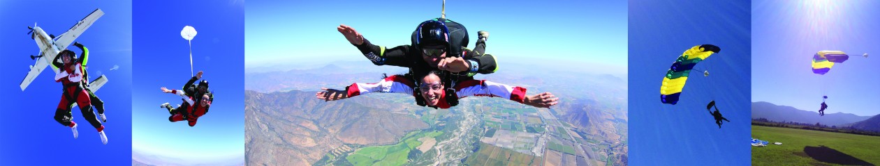 Aventuras de una Margarita