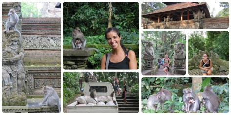 Monkey Forrest ... notese como los monos se tomaron una camioneta!!