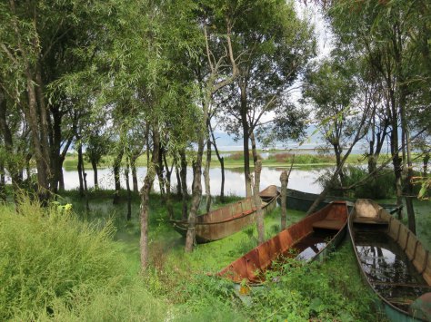Paisajes en la orilla del lago.