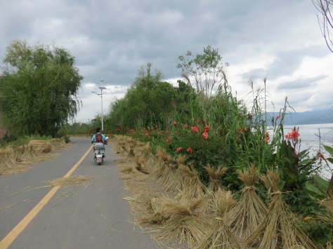 Mas paisaje en la orilla del lago.