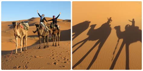 Paseando en dromedarios