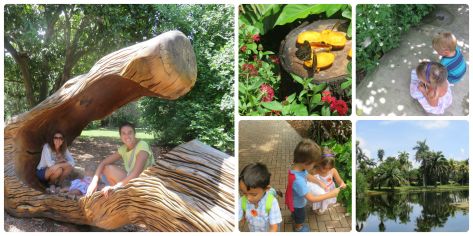 Fairchild tropical botanical garden.