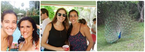 Piscina, asado y un pavo real!